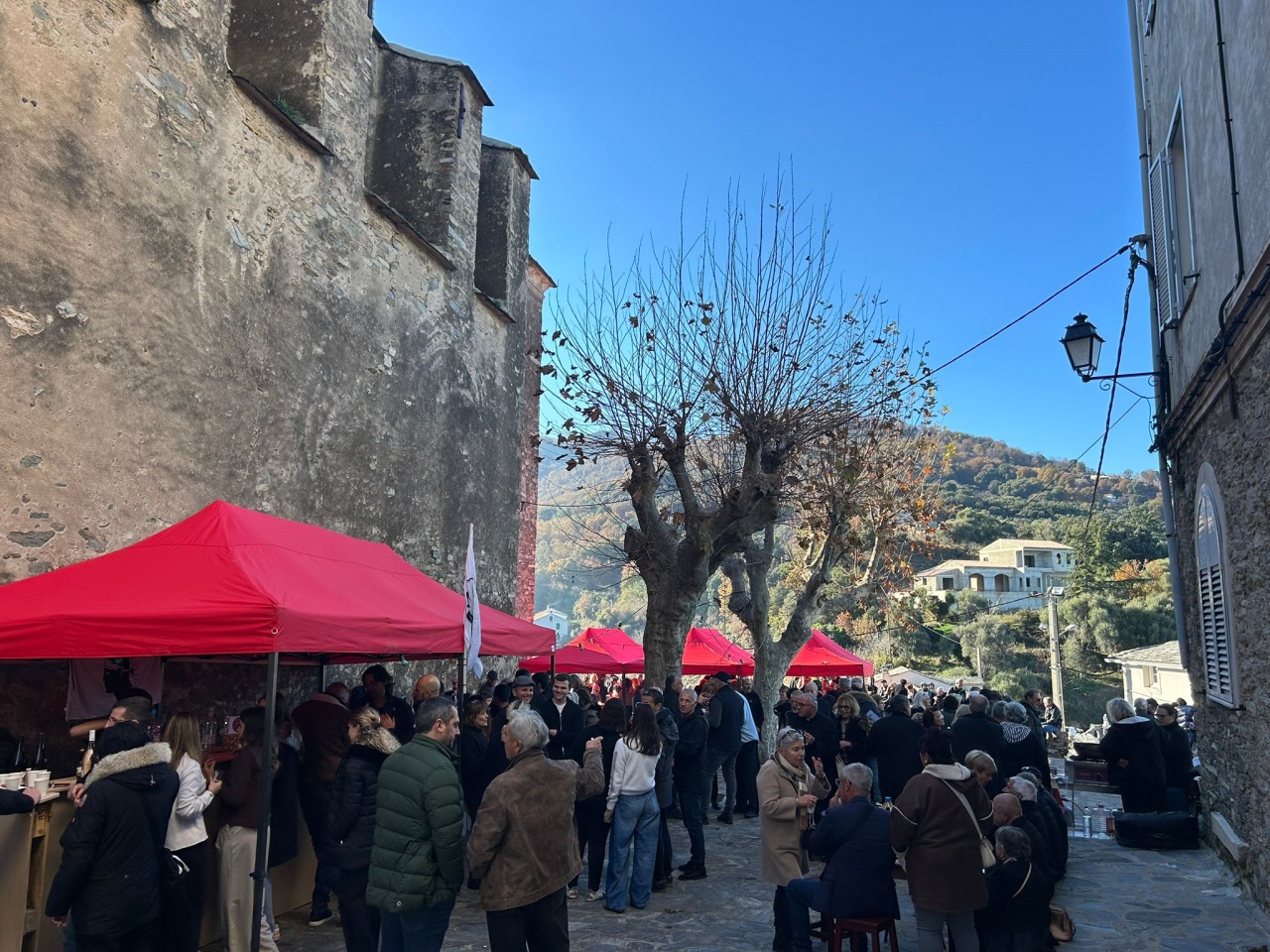 Festa 